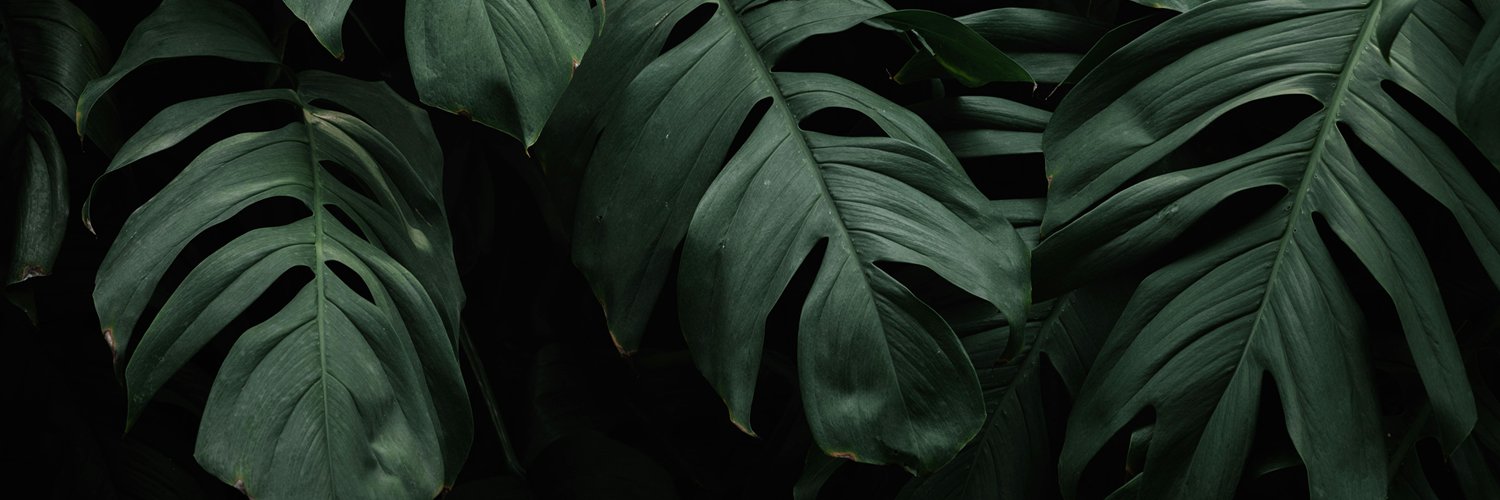 𝐈𝐒𝐀𝐁𝐄𝐋 banner