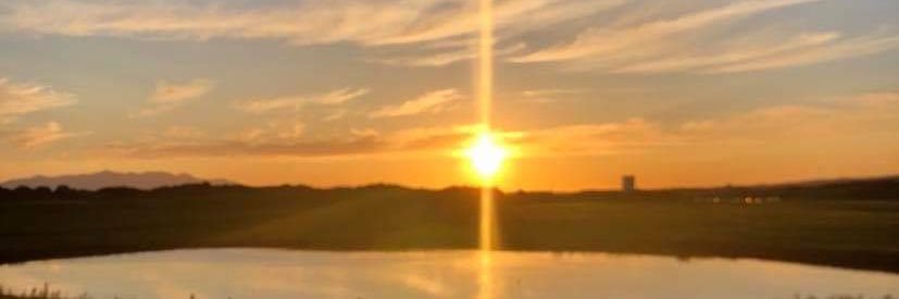 Freya Fitzsimmons banner