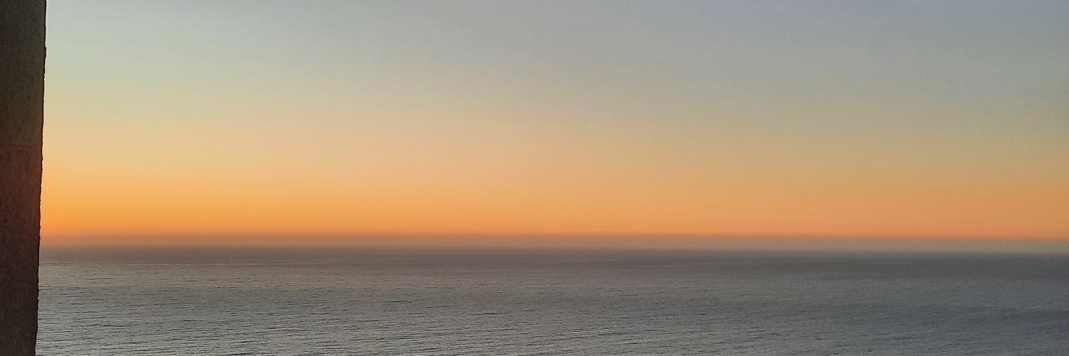 rociotrinque's profile banner image