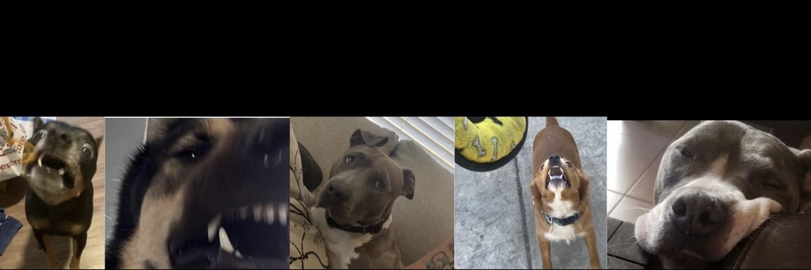 LeannaBeaaaar's profile banner image