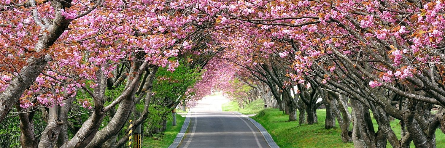 chantalrbailey's profile banner image