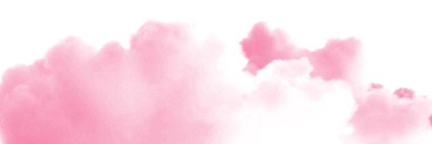 dainieves's profile banner image