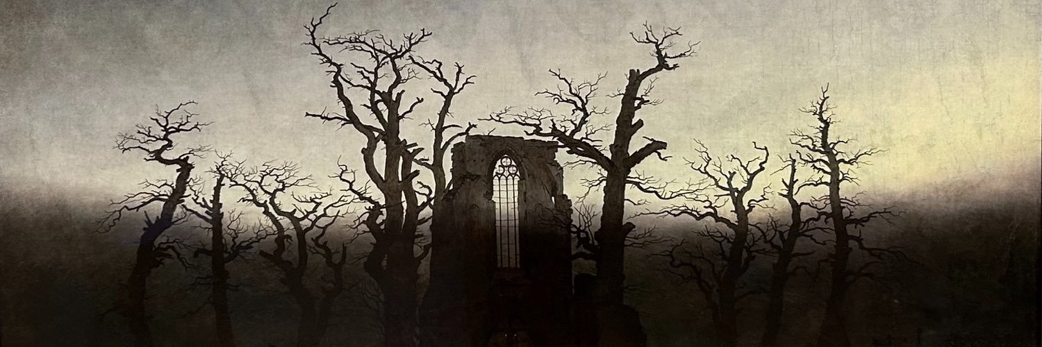 assibunni's profile banner image