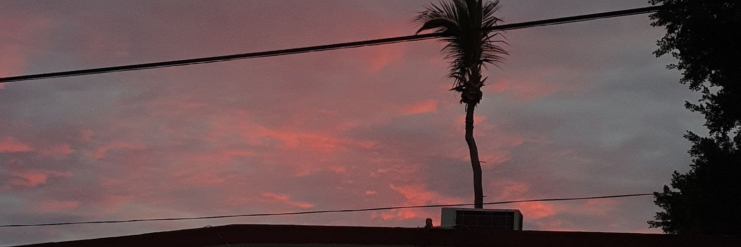 JavierGerardoZ's profile banner image