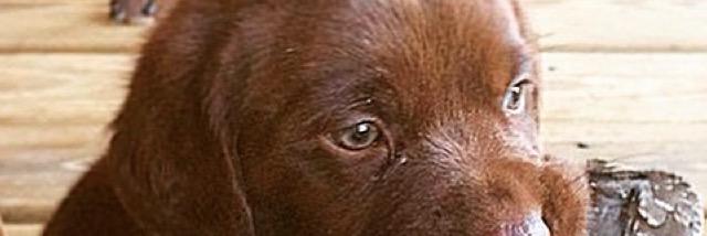 dustinmojo's profile banner image