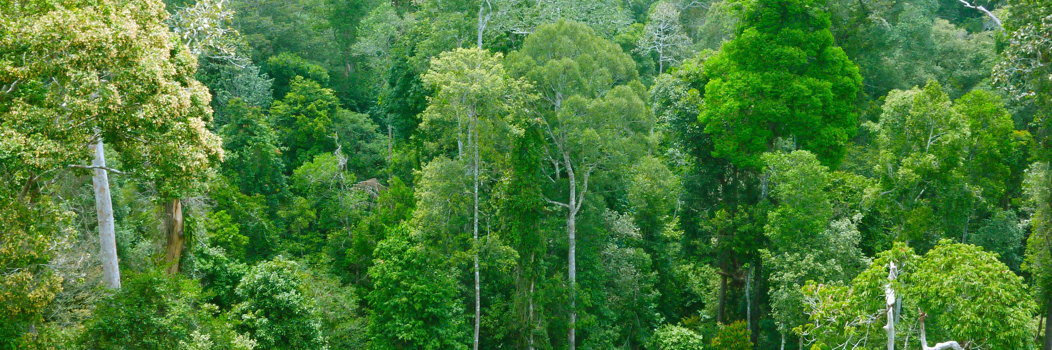 MDL Recycling banner