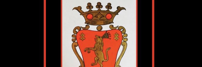 radionauta16's profile banner image