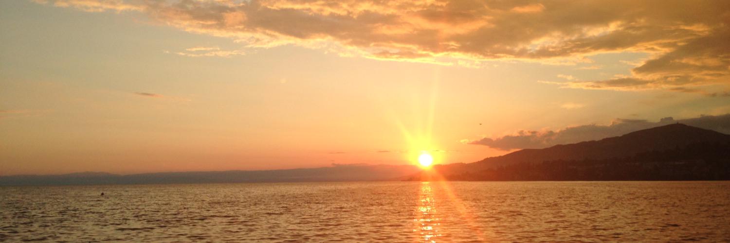 twittwat123's profile banner image