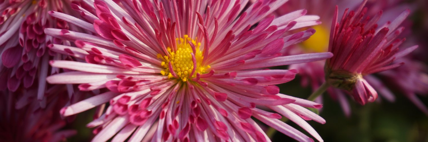 thinkgenome's profile banner image