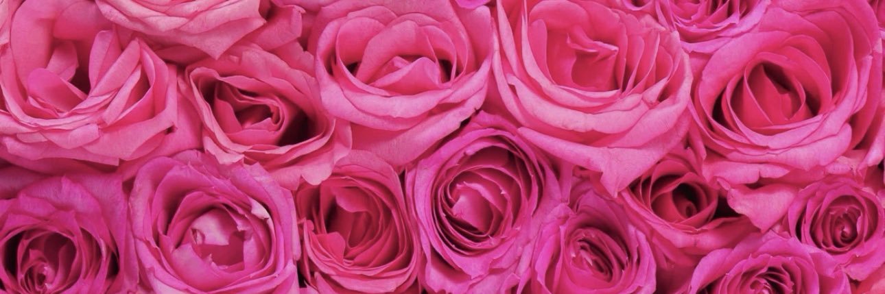 . banner