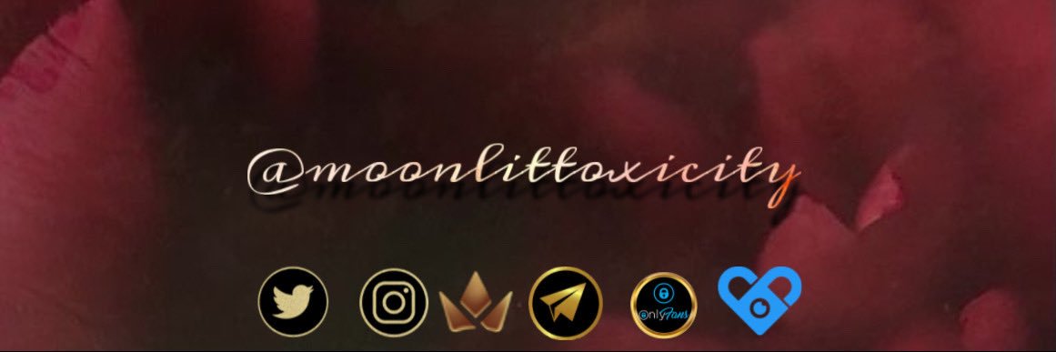 Dakota ꒰ঌ✦໒꒱ banner