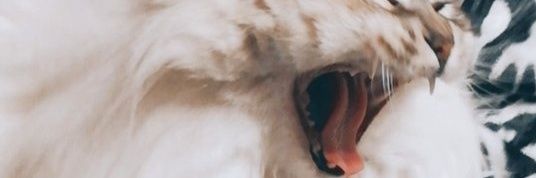 mxrinabg's profile banner image