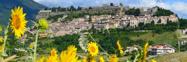 blucini Profile Banner