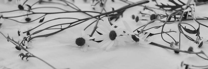 cthedunes's profile banner image
