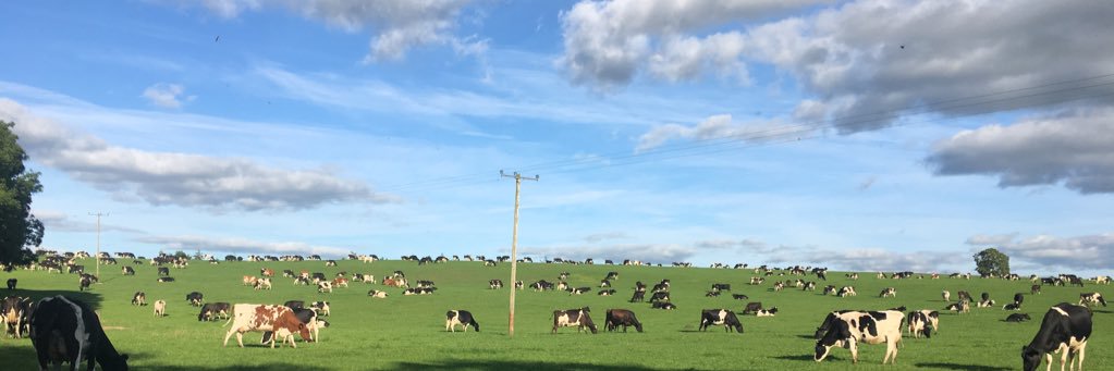 Michael Tobin banner