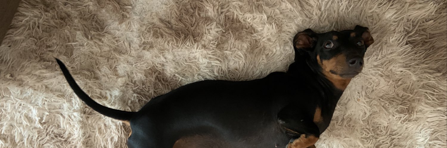 jvimxr's profile banner image