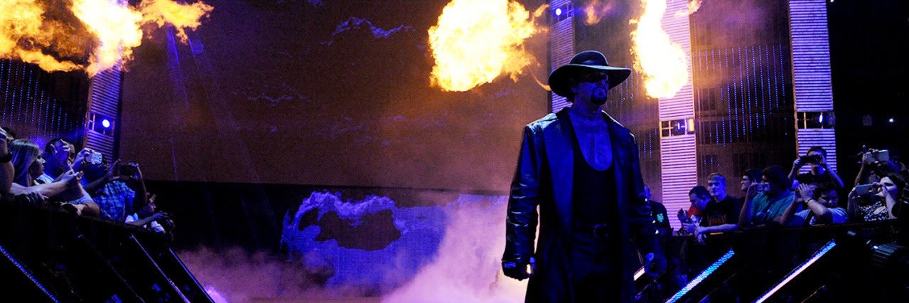 steph ramsey🐴💛 banner