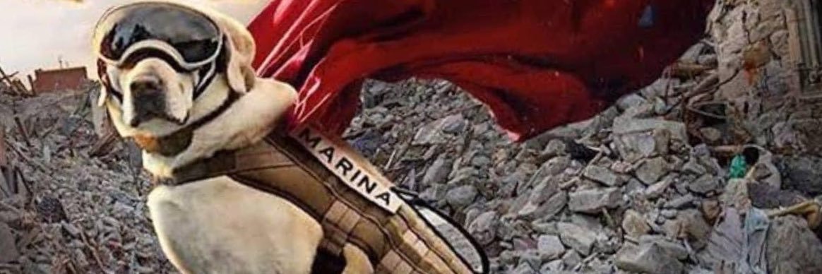 NascarY's profile banner image