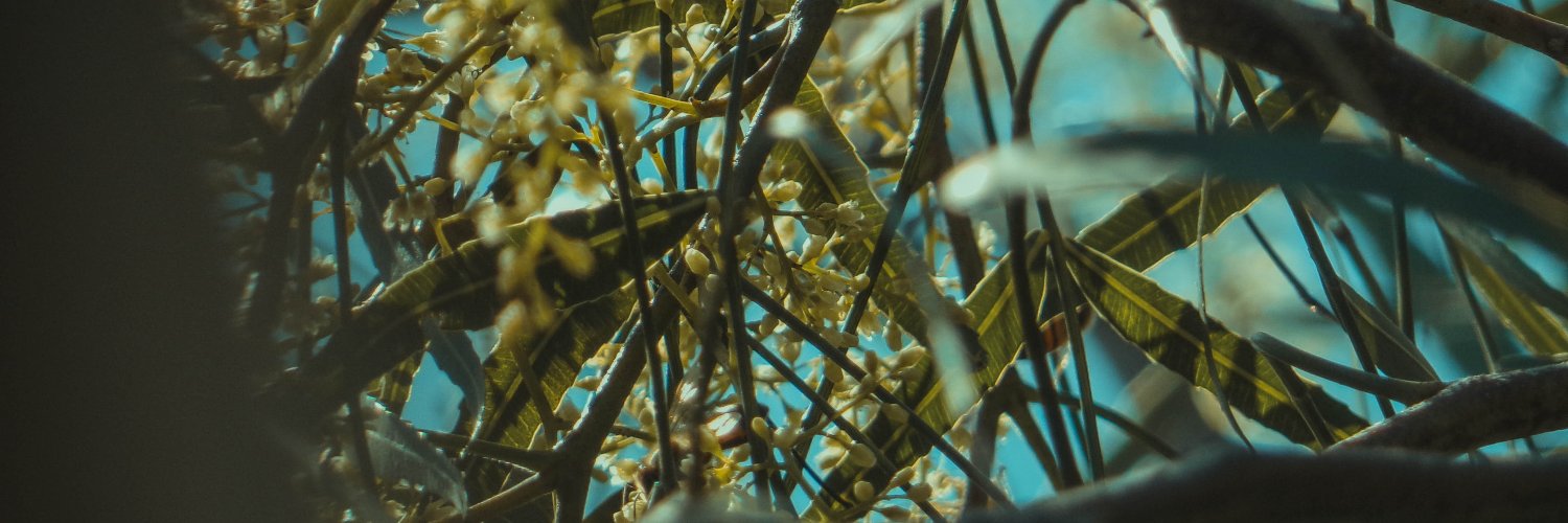 nicolasraw7's profile banner image