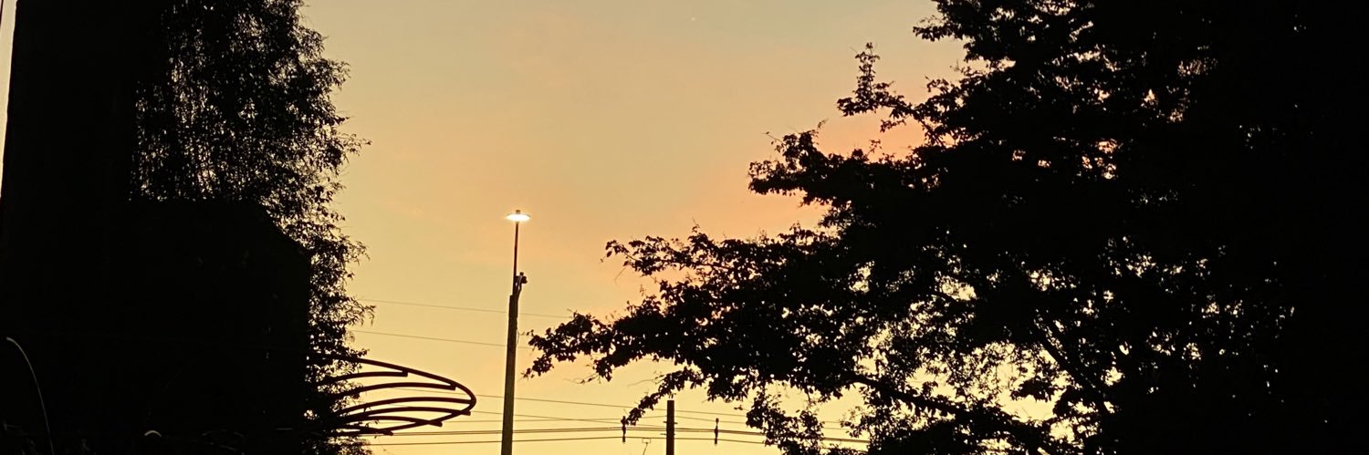 Isabella Navarrete banner