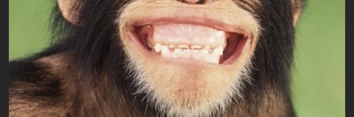 DarioMut's profile banner image