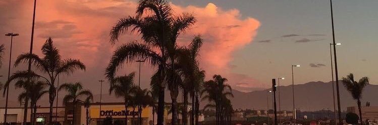 LiciaFernandes_'s profile banner image