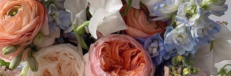 nancyortegar's profile banner image