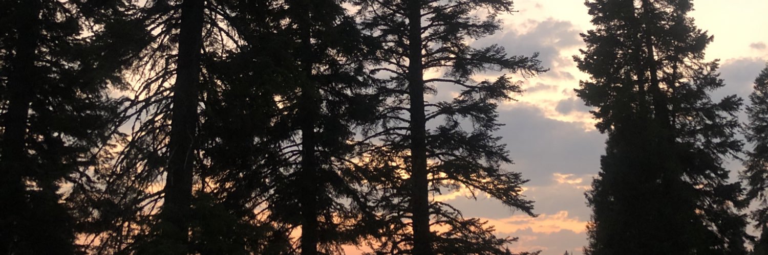 lmoraa_'s profile banner image
