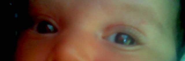 lorena damario banner