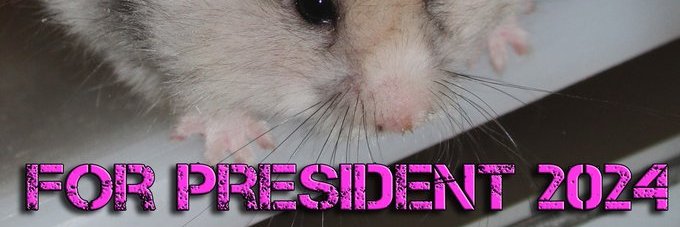 🇵🇸Israel Is A War Crime🇵🇸 🇺🇦 banner