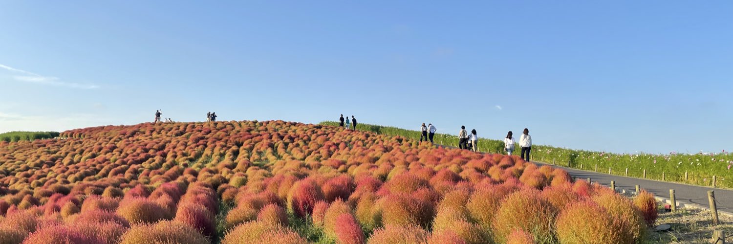 アンナ（メイン一時停止によりサブ） banner