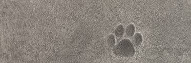 てちの日常。💢 banner