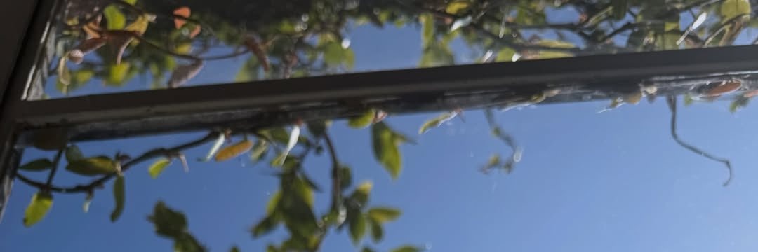 𝙏𝙀𝙉. banner