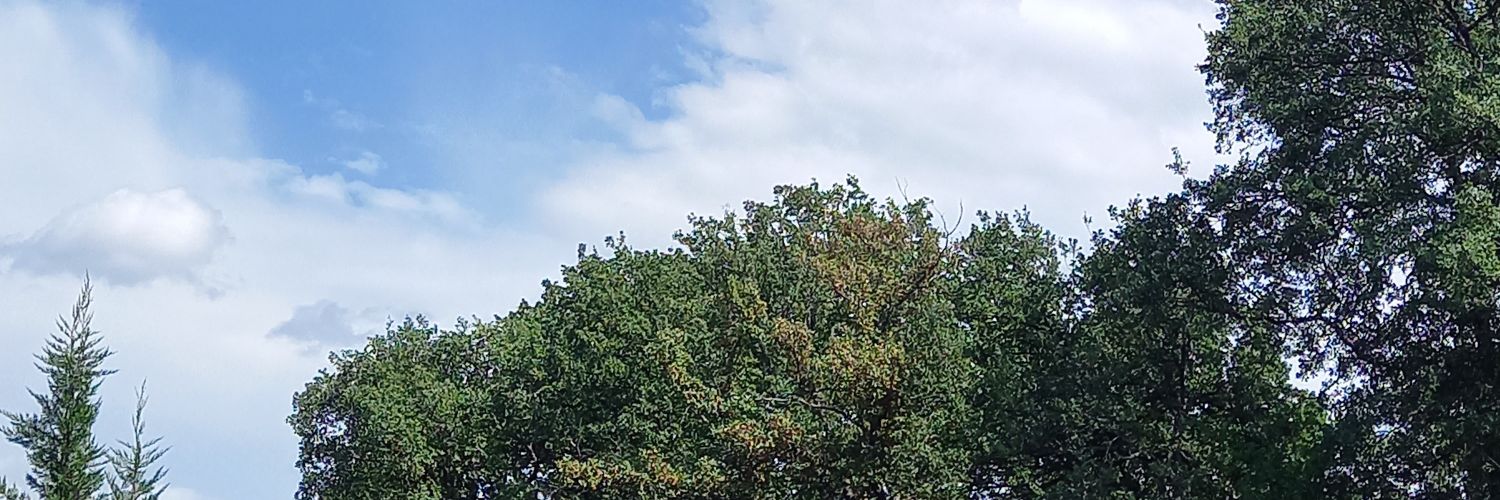 K-role banner