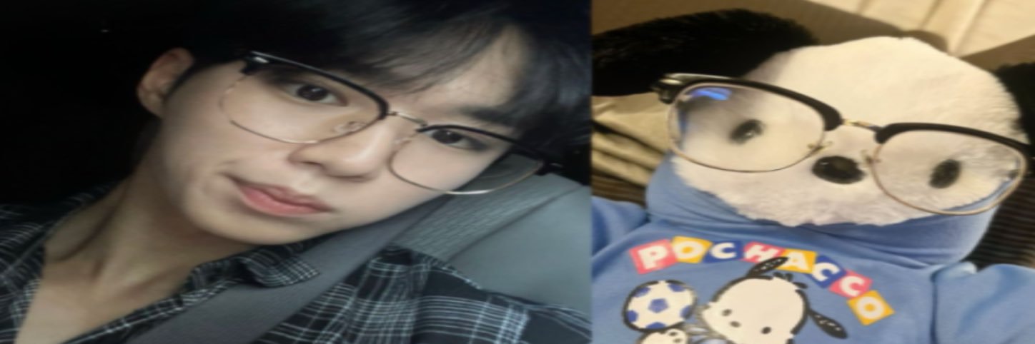 trililililililili banner