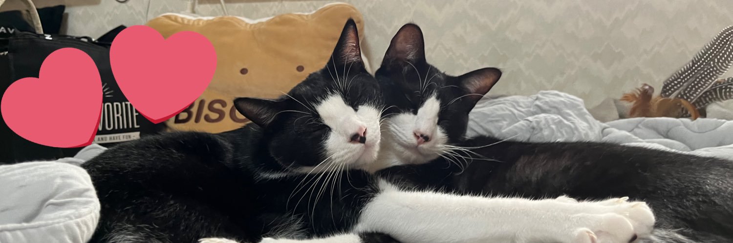 みーん🏀🌸 banner