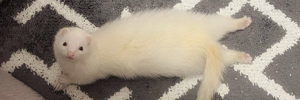 uyu0527 Profile Banner