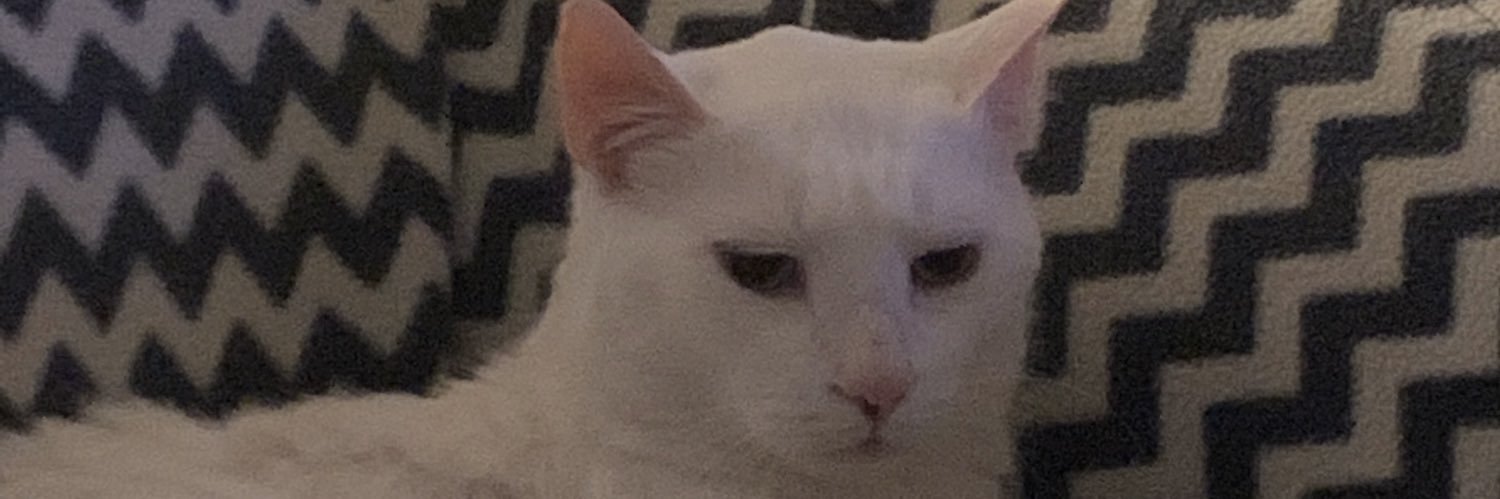 Woody ™ 👹🟦 banner