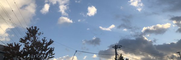 bunmaru08bone Profile Banner