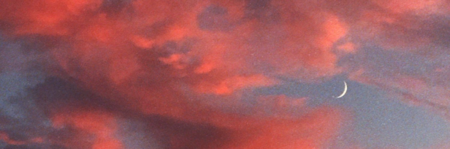 xritaw's profile banner image