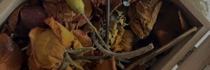 StasyLyn_'s profile banner image