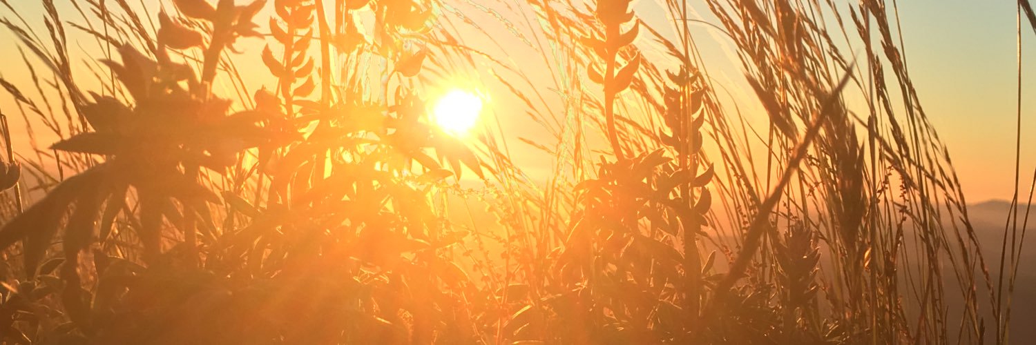 the_goldilocks_'s profile banner image