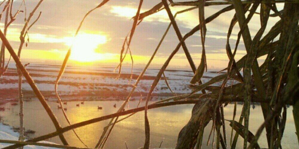 colesimpson3's profile banner image