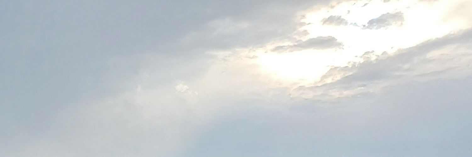 ぶりかま🫧 banner