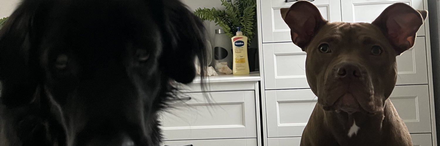 katelynpark_'s profile banner image