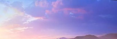 せとら 【お取引垢】 banner