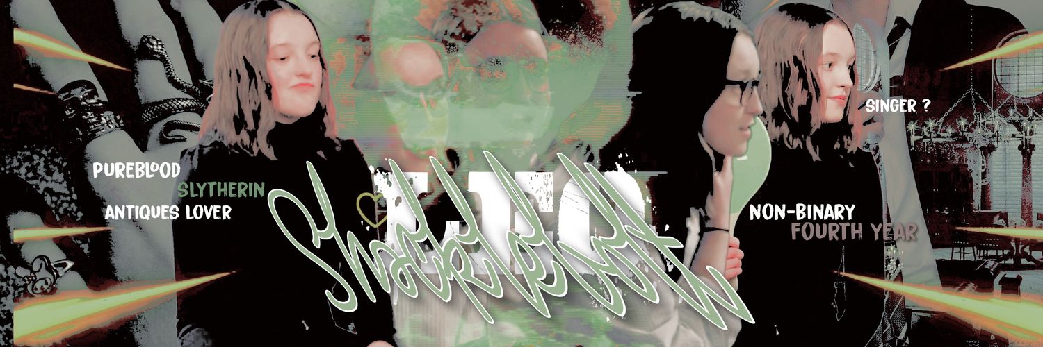 𝙻eo 𝚂hackebolt. banner