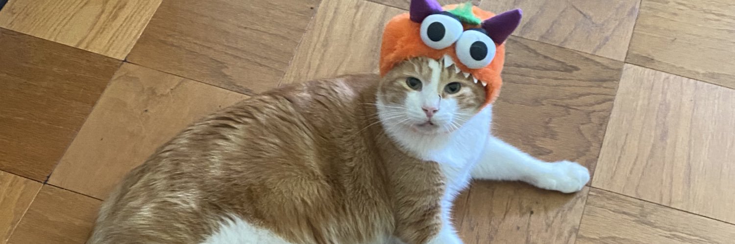 Shevizzle's profile banner image