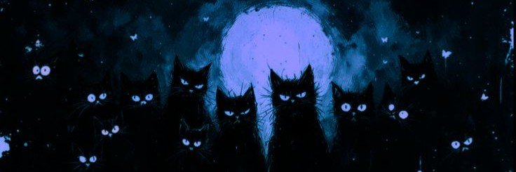 Rareperson245's profile banner image