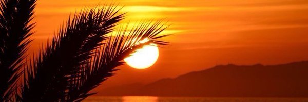 minnyannn Profile Banner